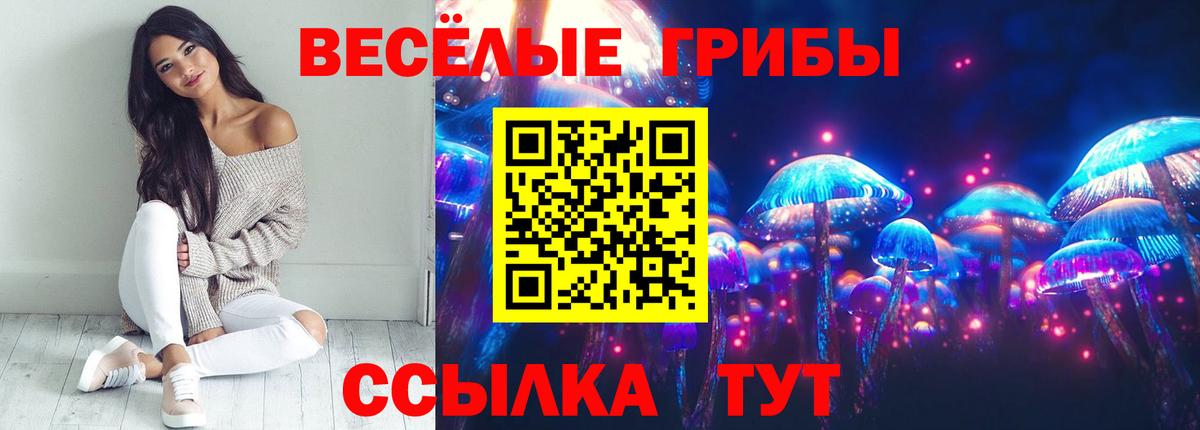 Коломна  Галлюциногенные грибы Psilocybine cubensis  Вход с VPN 